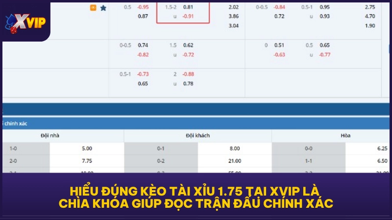 Hiểu đúng kèo Tài Xỉu 1.75 tại XVIP là chìa khóa giúp đọc trận đấu chính xác