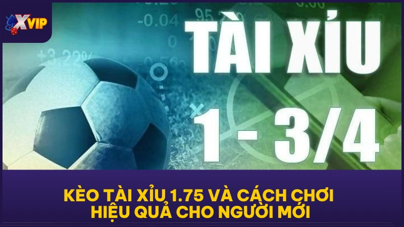 Kèo Tài Xỉu 1.75 và cách chơi hiệu quả cho người mới
