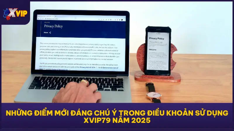 XVIP79 thường xuyên cập nhật điều khoản sử dụng để phù hợp với thay đổi từ thị trường