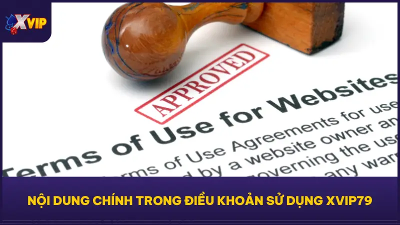 Nền tảng XVIP79 chia điều khoản sử dụng thành nhiều nhóm nội dung khác nhau