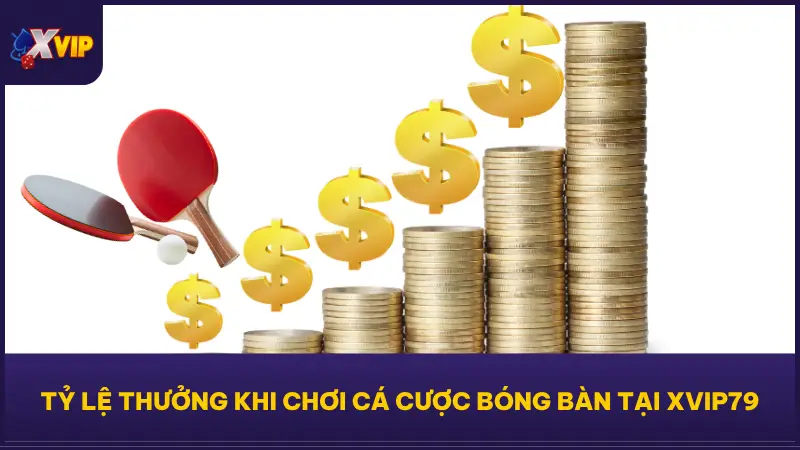 Thưởng hấp dẫn dành riêng cho cá cược bóng bàn tại XVIP79