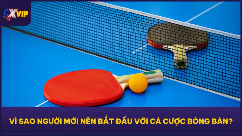 Cá cược bóng bàn tại XVIP79 là lựa chọn rất phù hợp để khởi đầu